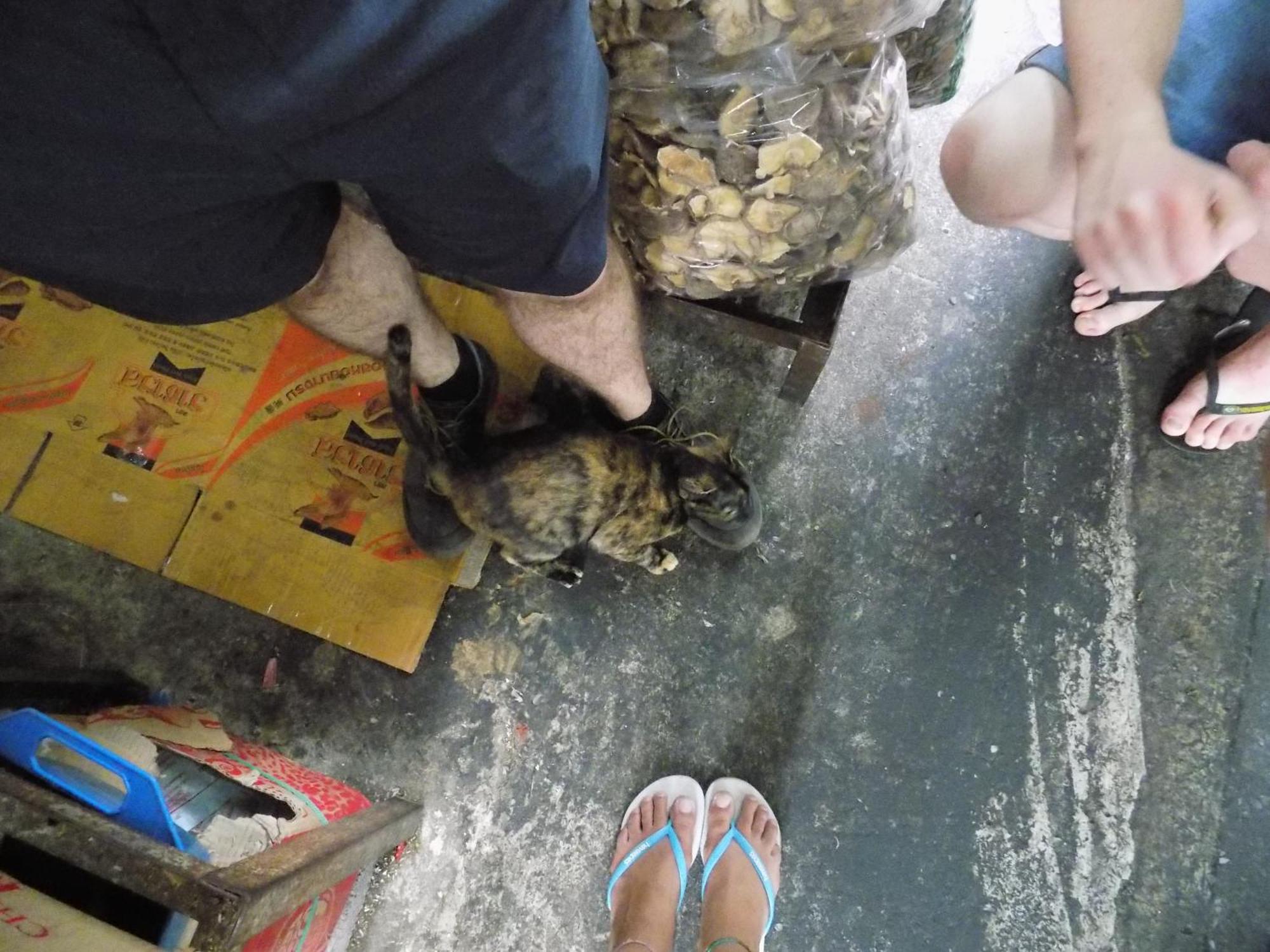 The Oasis Hostel (Adults Only) Bangkok Exteriör bild